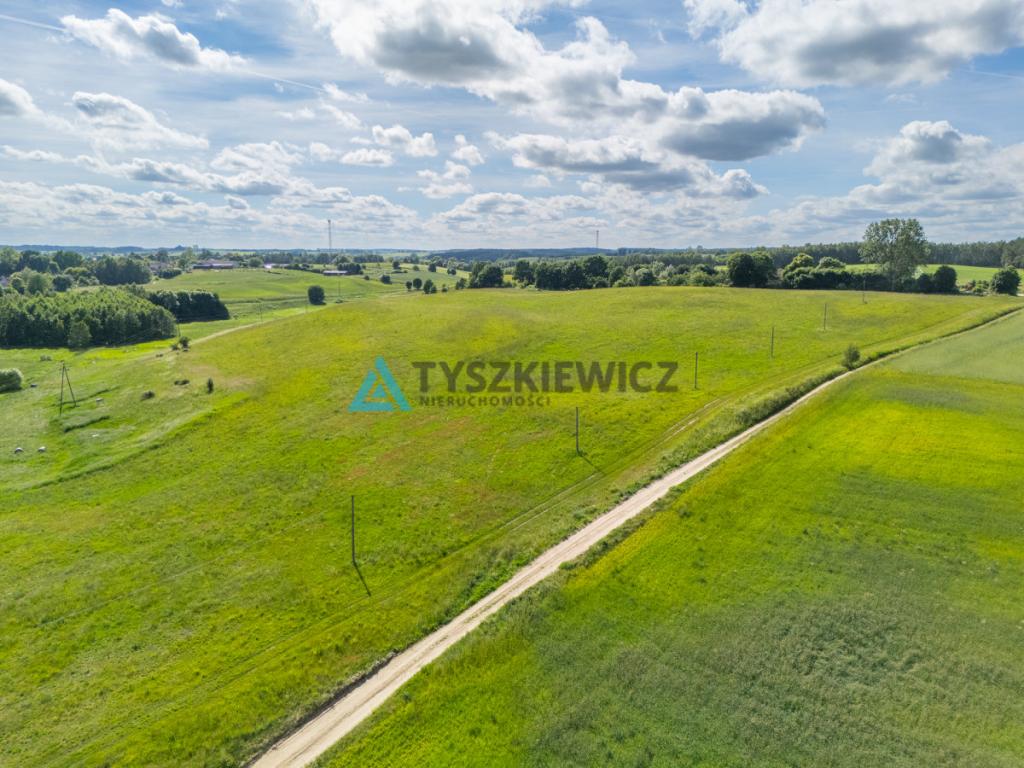 Działka rolna 6ha Głodowo! - zdjęcie 24