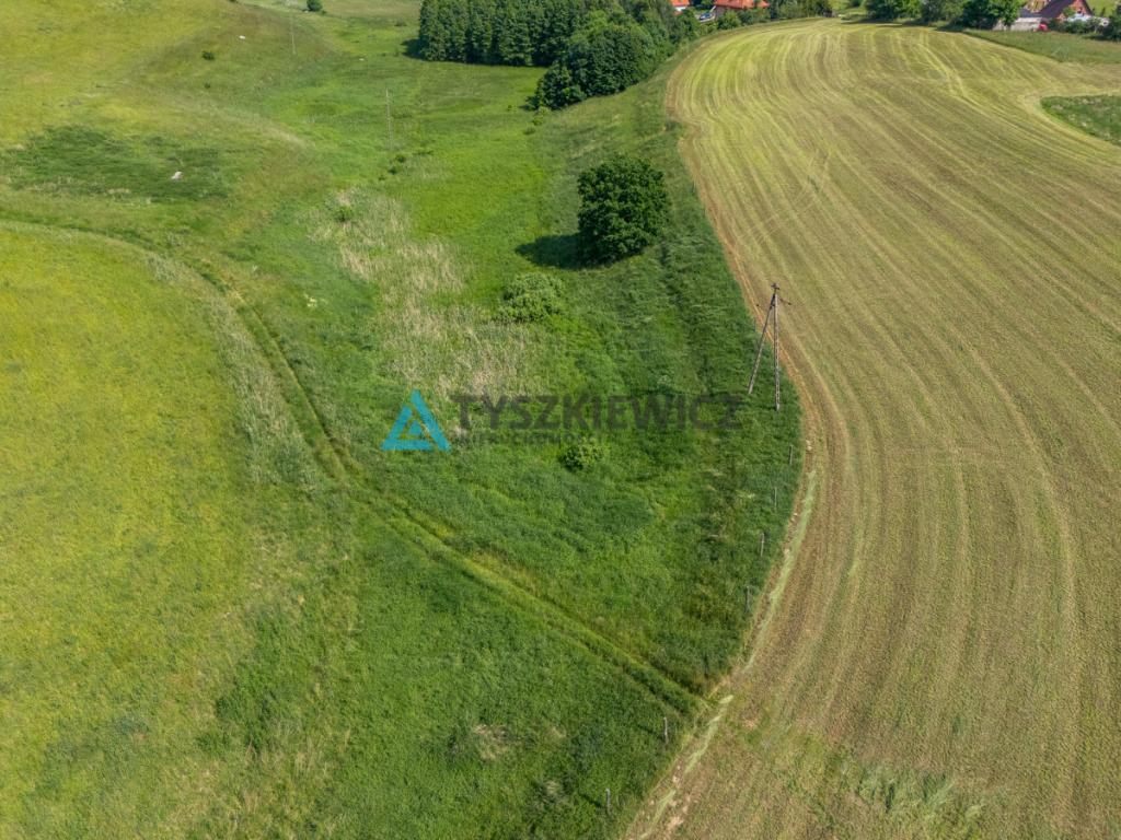 Działka rolna 6ha Głodowo! - zdjęcie 5
