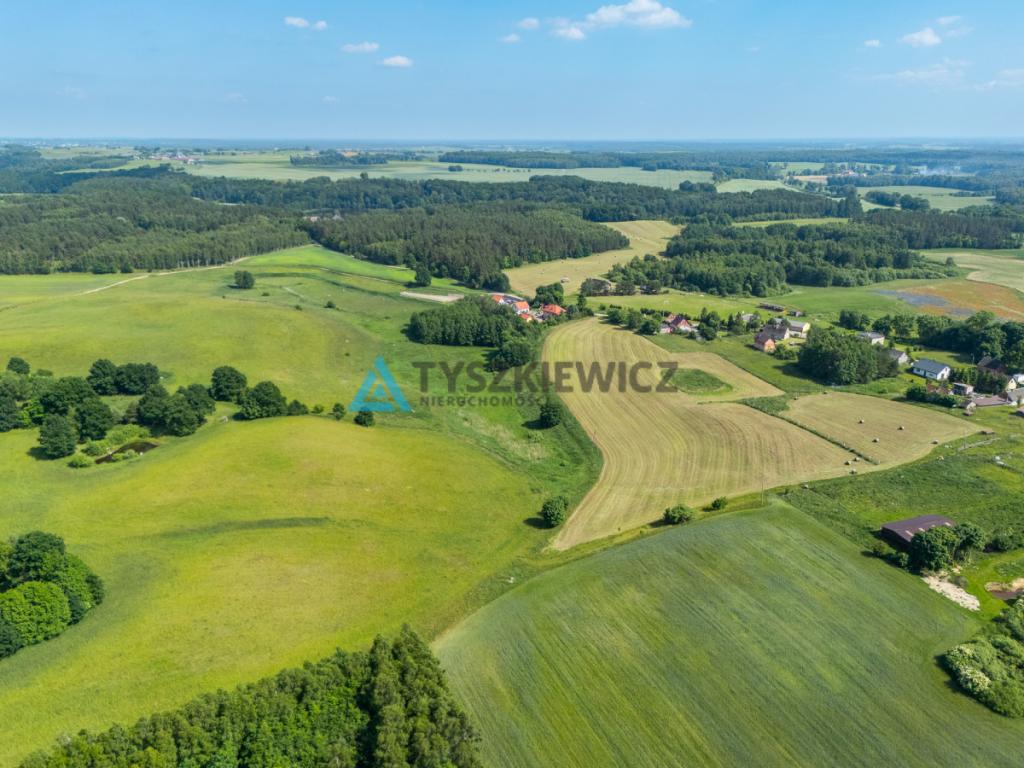 Działka rolna 6ha Głodowo! - zdjęcie 9