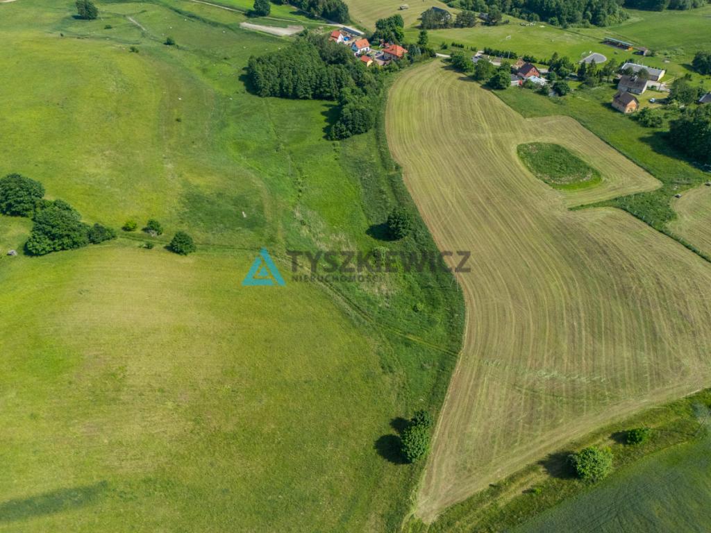 Działka rolna 6ha Głodowo! - zdjęcie 8