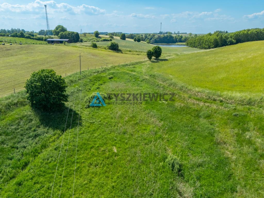 Działka rolna 6ha Głodowo! - zdjęcie 15
