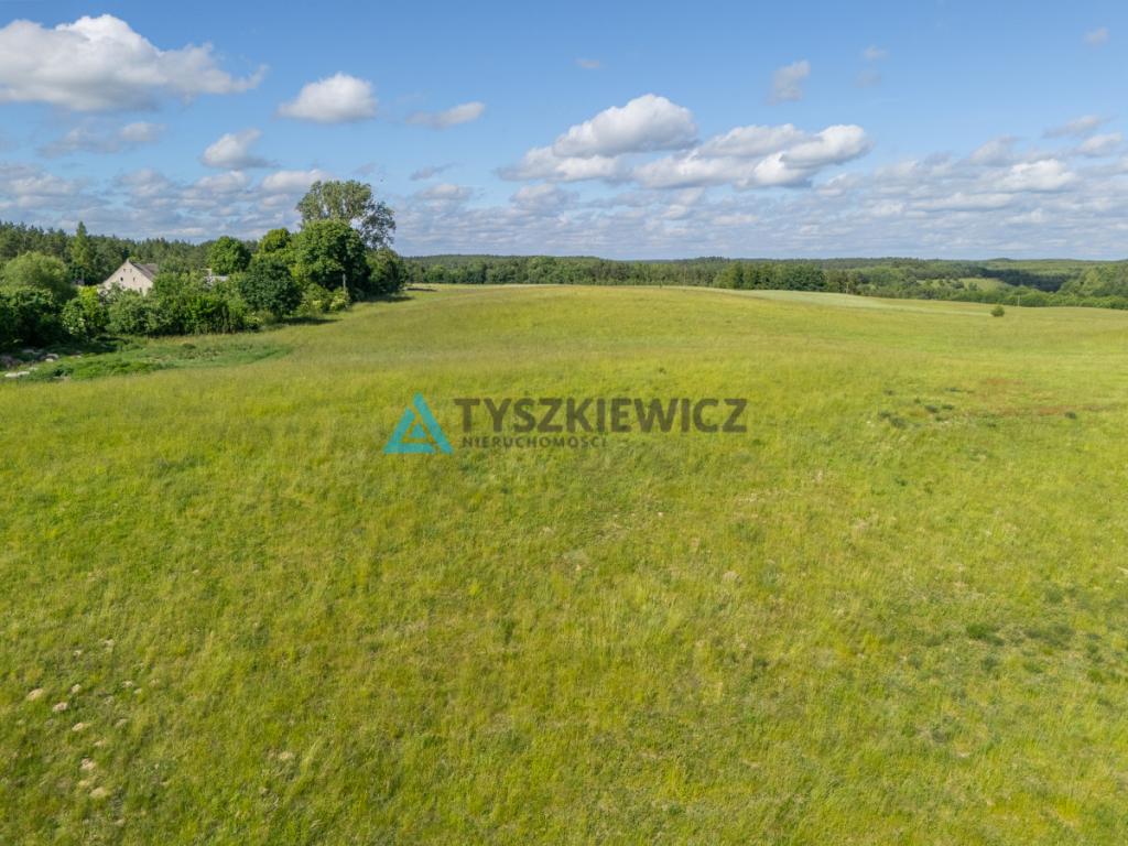 Działka rolna 6ha Głodowo! - zdjęcie 21