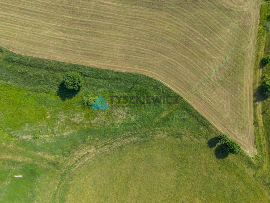 Działka rolna 6ha Głodowo! - zdjęcie 7