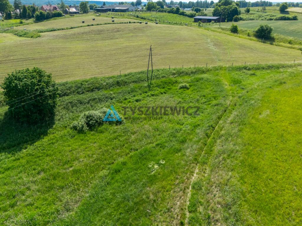 Działka rolna 6ha Głodowo! - zdjęcie 16