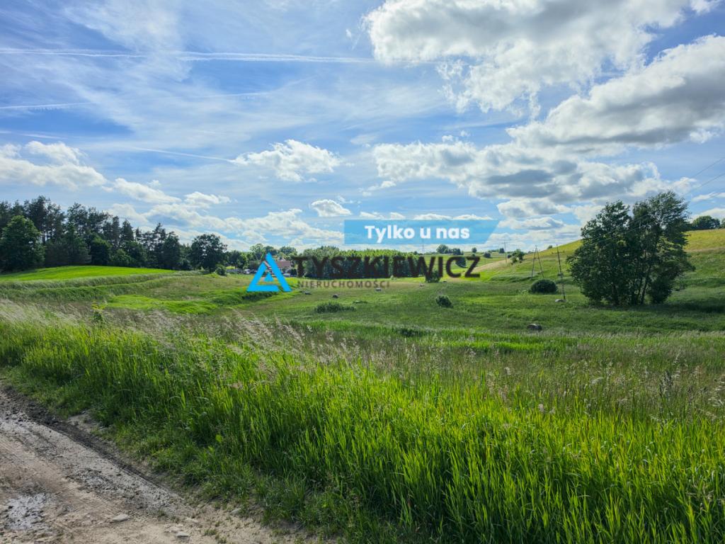 Działka rolna 6ha Głodowo! - zdjęcie 1