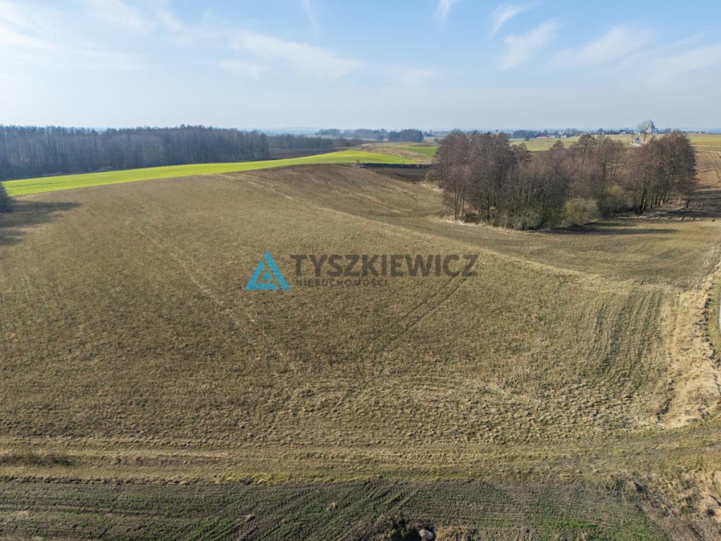 Teren inwestycyjny 0,48 ha | WZ na 4 domy - zdjęcie 13