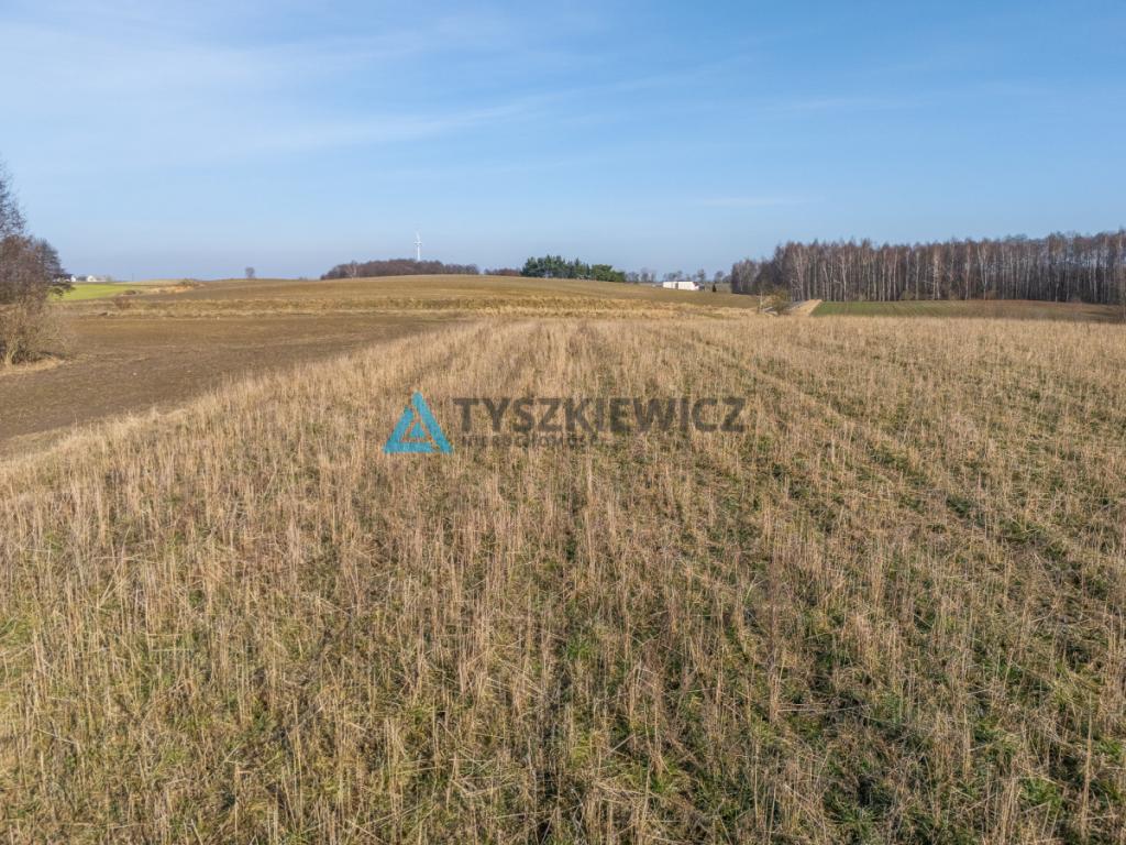Teren inwestycyjny 0,48 ha | WZ na 4 domy - zdjęcie 15