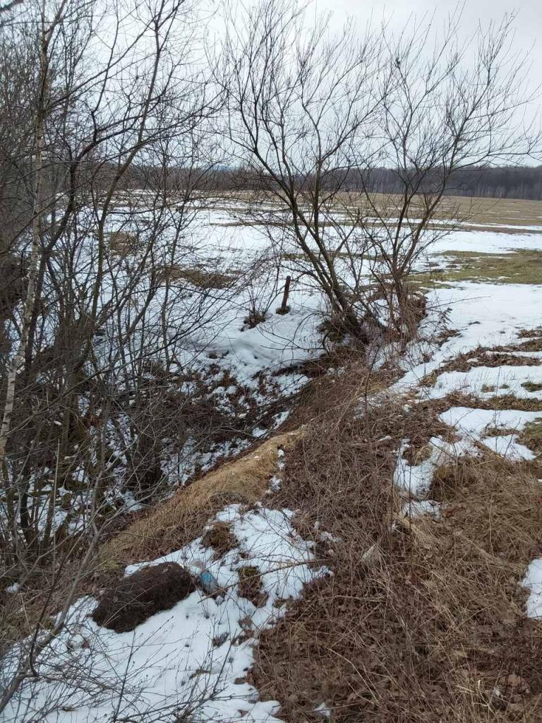 Działka budowlana 3,99 ha, Dąbrowa Górnicza - zdjęcie 4