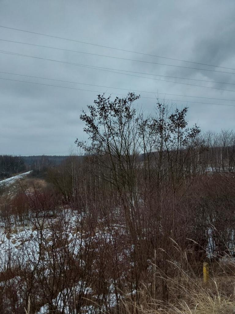 Działka budowlana 3,99 ha, Dąbrowa Górnicza - zdjęcie 6