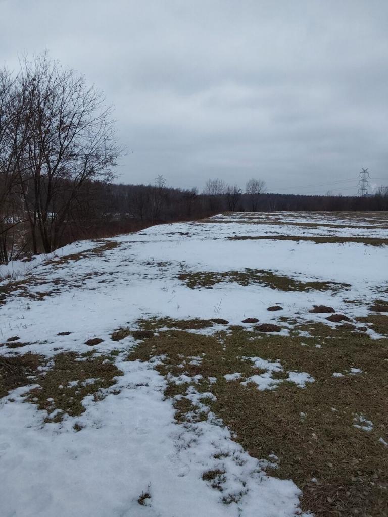 Działka budowlana 3,99 ha, Dąbrowa Górnicza - zdjęcie 3