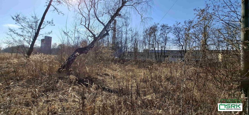 Działka inwestycyjna 1,99 ha, Sosnowiec, Minerów - zdjęcie 9