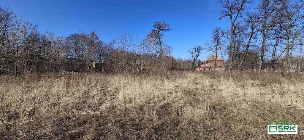 Działka inwestycyjna 1,99 ha, Sosnowiec, Minerów - zdjęcie 7
