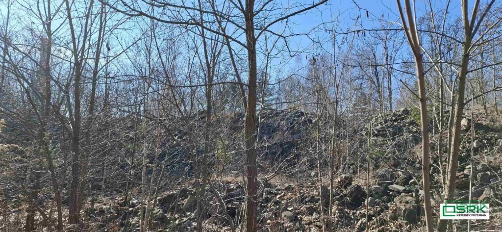 Działka inwestycyjna 1,99 ha, Sosnowiec, Minerów - zdjęcie 13