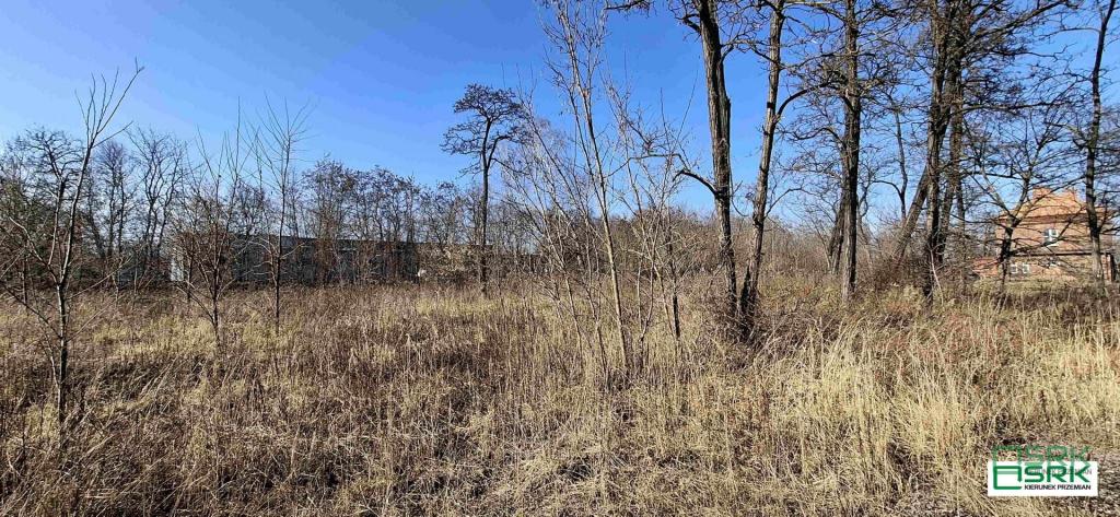 Działka inwestycyjna 1,99 ha, Sosnowiec, Minerów - zdjęcie 8