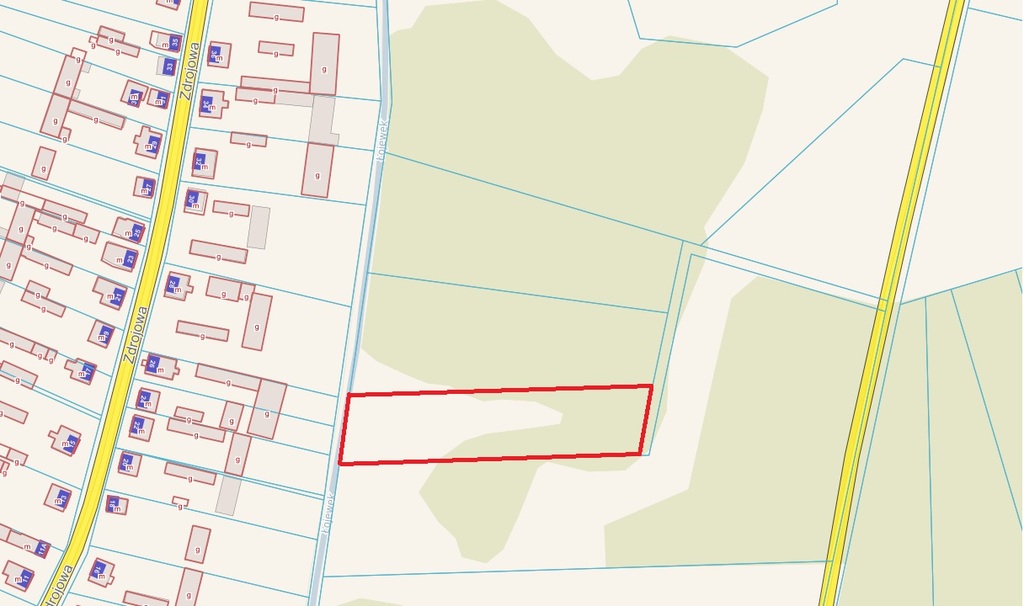 Działka rolna 4552 m², Dobrzyjałowo - zdjęcie 4