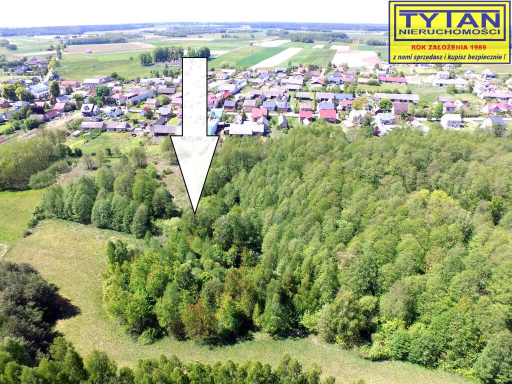 Działka rolna 4552 m², Dobrzyjałowo - zdjęcie 3