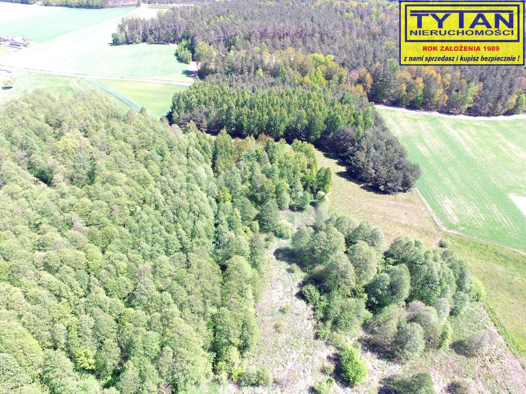 Działka rolna 4552 m², Dobrzyjałowo - zdjęcie 7