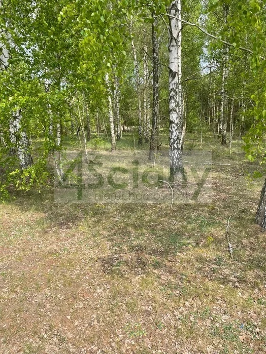 Działka budowlana 1734&nbsp;m², Powązki - zdjęcie 7