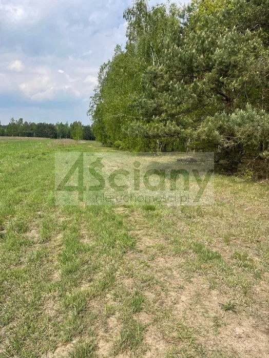 Działka budowlana 1734&nbsp;m², Powązki - zdjęcie 5