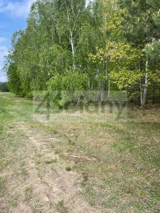 Działka budowlana 1734&nbsp;m², Powązki - zdjęcie 3