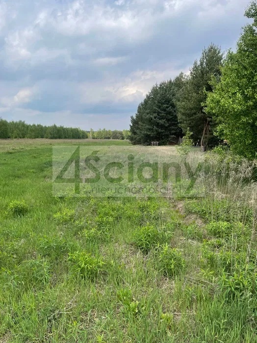 Działka budowlana 1734&nbsp;m², Powązki - zdjęcie 6