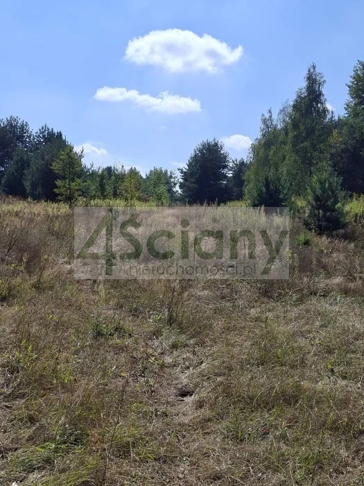 Działka budowlana 2100 m², Regut - zdjęcie 3