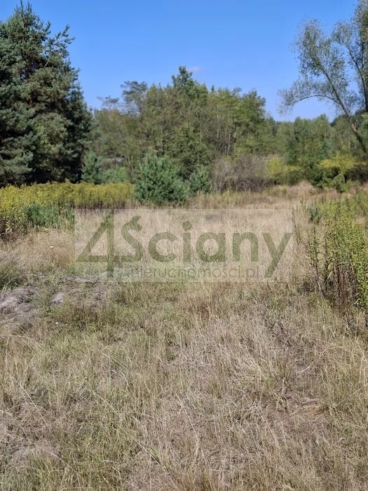 Działka budowlana 2100 m², Regut - zdjęcie 4