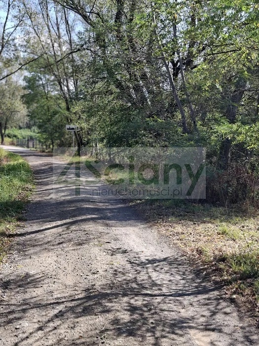 Działka budowlana 2100 m², Regut - zdjęcie 1