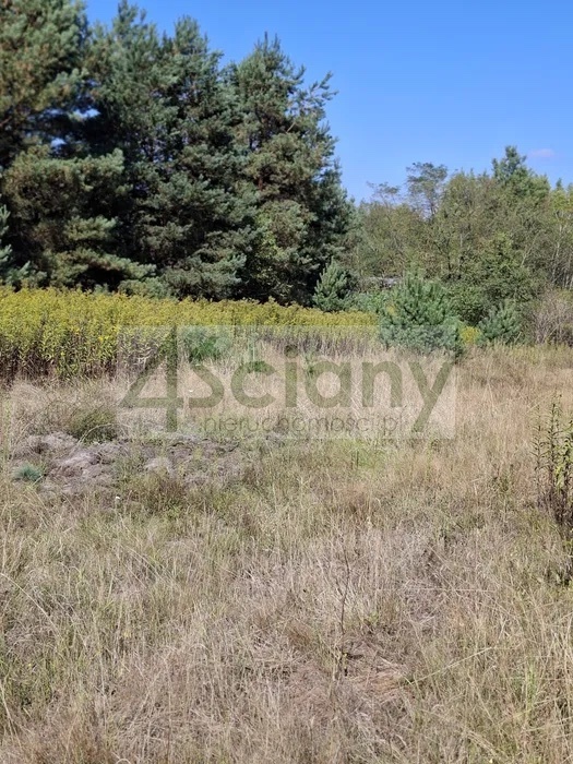 Działka budowlana 2100 m², Regut - zdjęcie 5