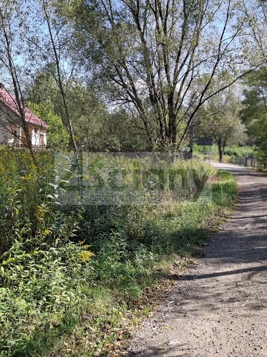 Działka budowlana 2100 m², Regut - zdjęcie 2