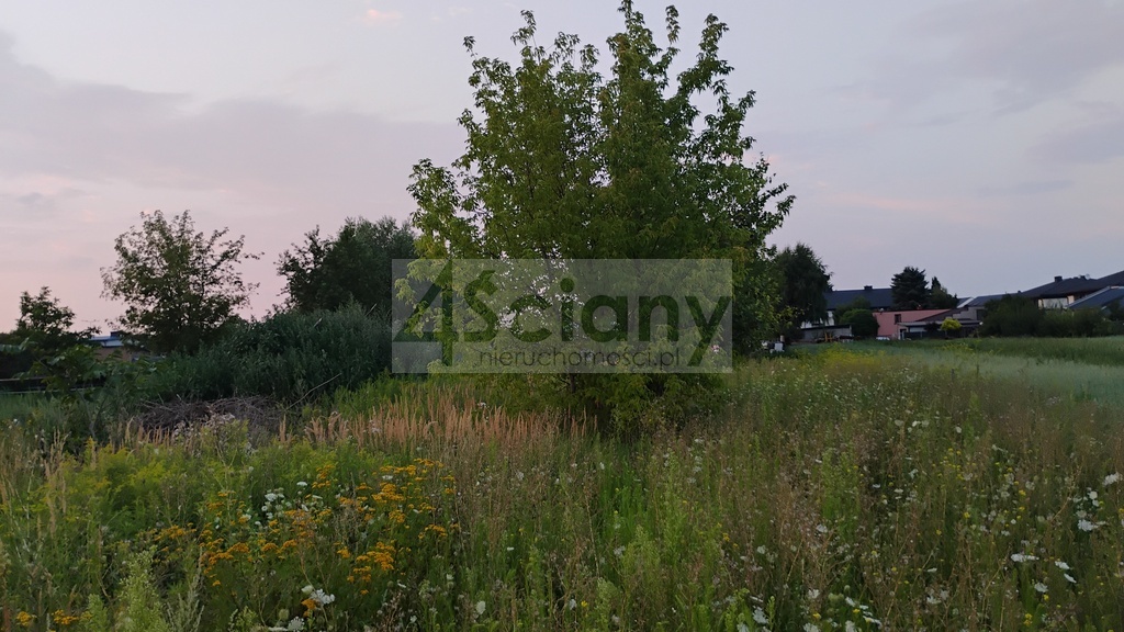 Działka inwestycyjna 8400 m², Nowa Wola - zdjęcie 5
