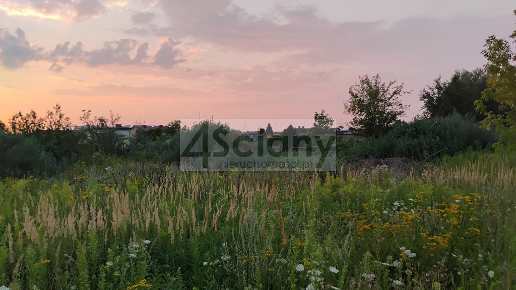 Działka inwestycyjna 8400 m², Nowa Wola - zdjęcie 4