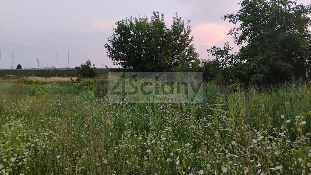 Działka inwestycyjna 8400 m², Nowa Wola - zdjęcie 7