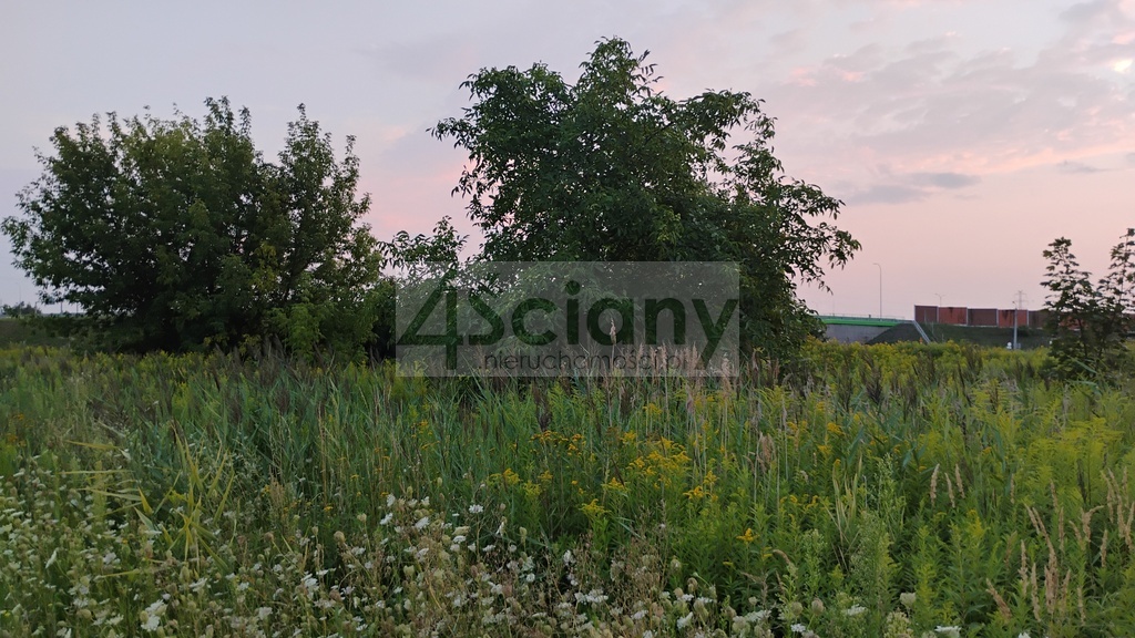 Działka inwestycyjna 8400 m², Nowa Wola - zdjęcie 6