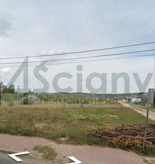 Działka rolna 1169 m², Olszewnica Stara - zdjęcie 1