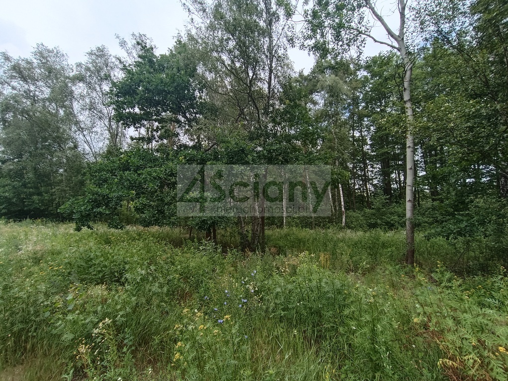 Działka budowlana 2128 m², Warszawa - zdjęcie 6