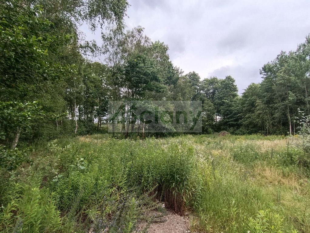Działka budowlana 2128 m², Warszawa - zdjęcie 11