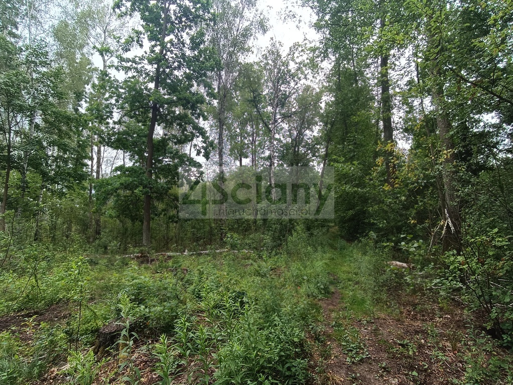 Działka budowlana 2128 m², Warszawa - zdjęcie 7