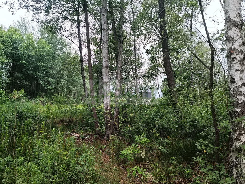 Działka budowlana 2128 m², Warszawa - zdjęcie 9