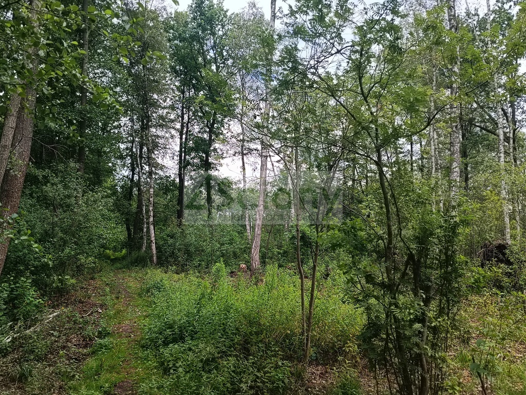 Działka budowlana 2128 m², Warszawa - zdjęcie 8