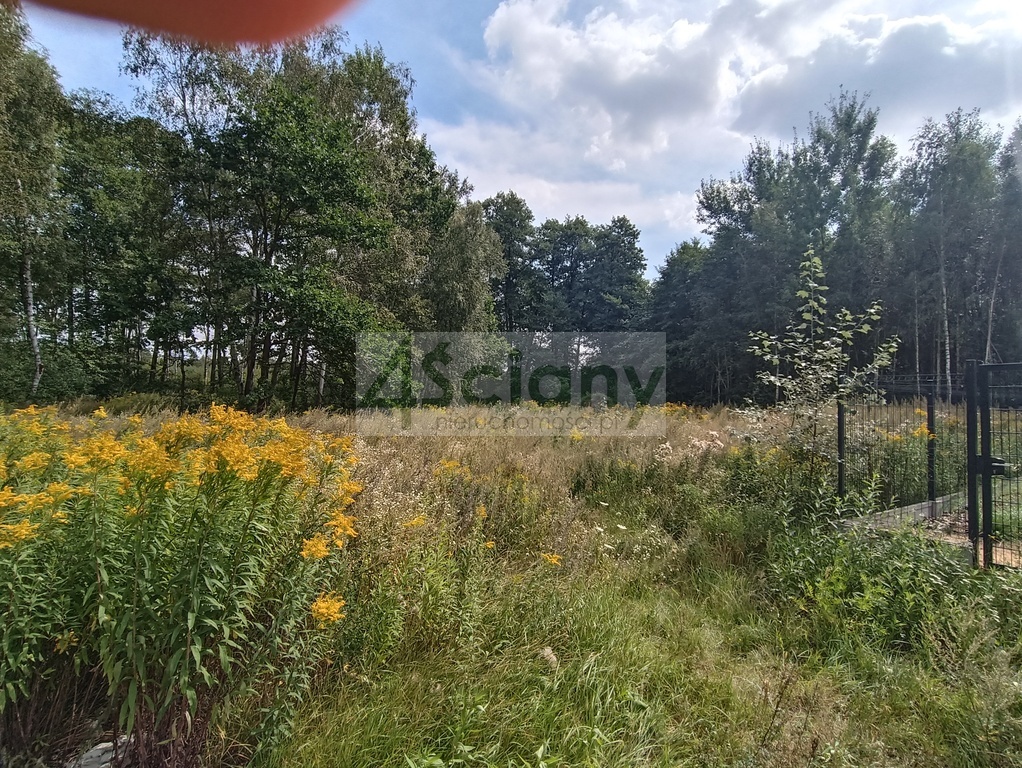 Działka budowlana 2128 m², Warszawa - zdjęcie 12
