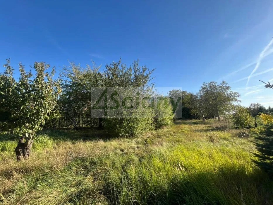 Działka budowlana 1243 m², Domaniewek Pierwszy - zdjęcie 4