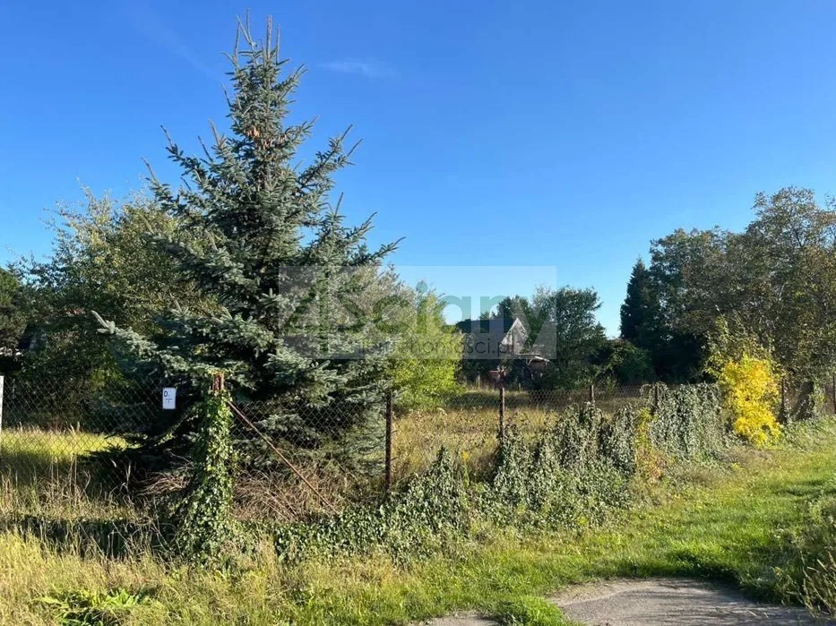 Działka budowlana 1243 m², Domaniewek Pierwszy - zdjęcie 6