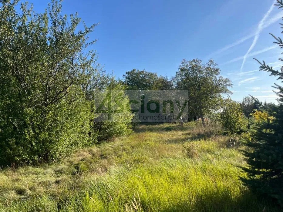 Działka budowlana 1243 m², Domaniewek Pierwszy - zdjęcie 3