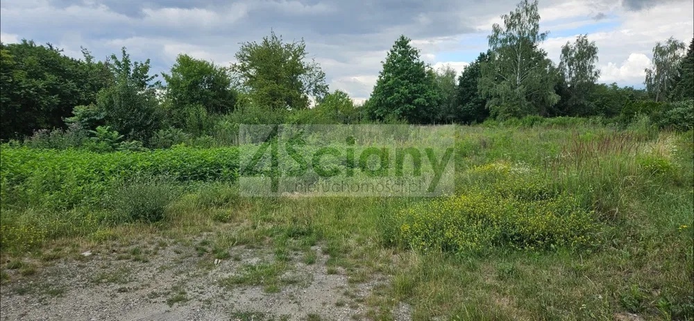 Działka budowlana 2176&nbsp;m², Gołków - zdjęcie 1