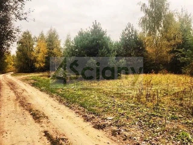 Działka budowlana 1075 m², Barcice Drwalewskie - zdjęcie 3