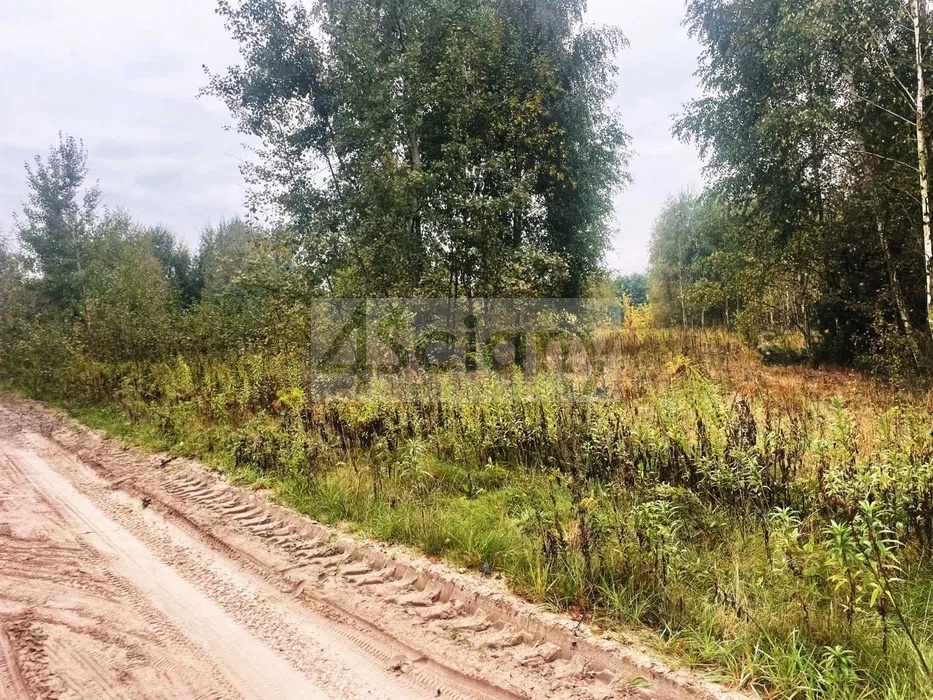 Działka budowlana 1075 m², Barcice Drwalewskie - zdjęcie 5