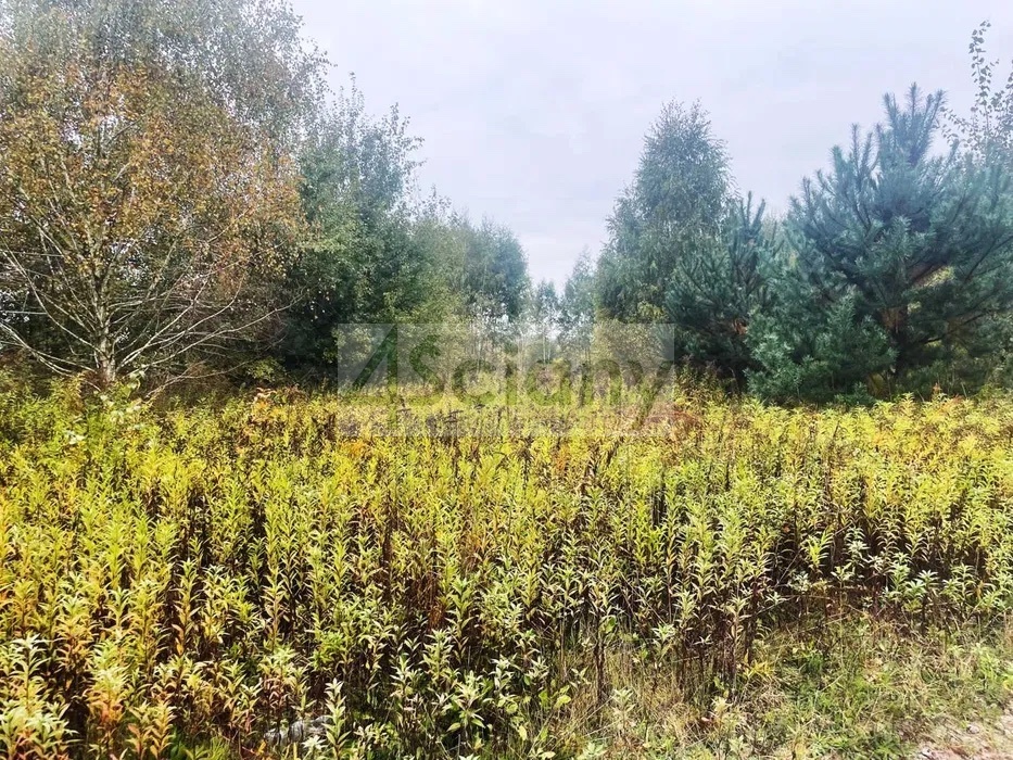 Działka budowlana 1075 m², Barcice Drwalewskie - zdjęcie 1