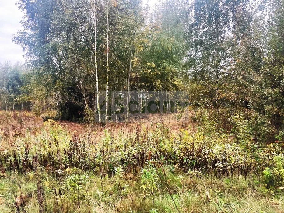 Działka budowlana 1075 m², Barcice Drwalewskie - zdjęcie 4