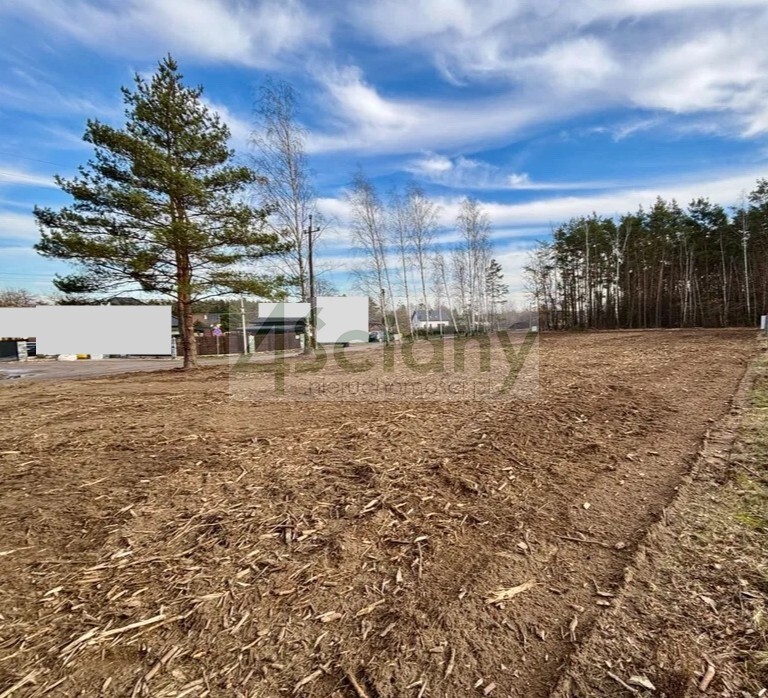 Działka budowlana 1501 m², Chotomów - zdjęcie 2